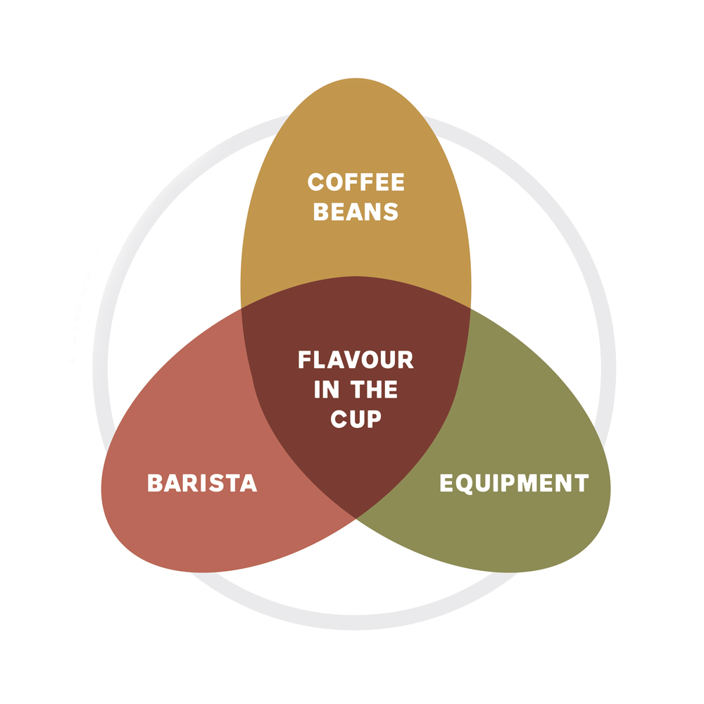 coffee cup beans 